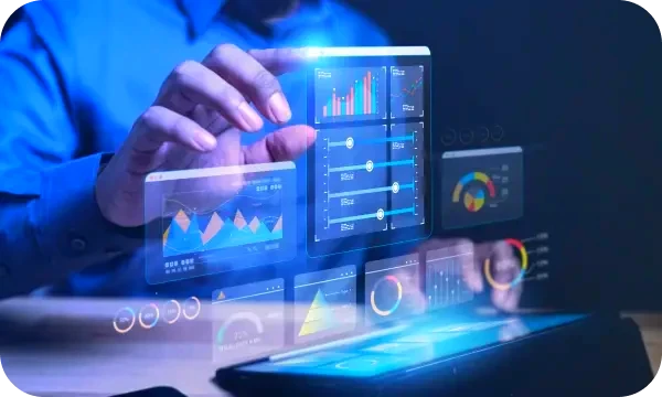 Elm Vaultstead Australian market